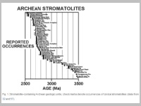 Stromatolites_Occurence Time-Table.jpg